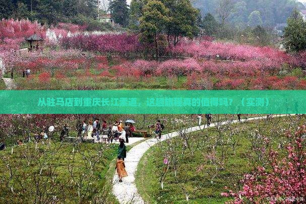 驻马店到重庆长江索道旅游