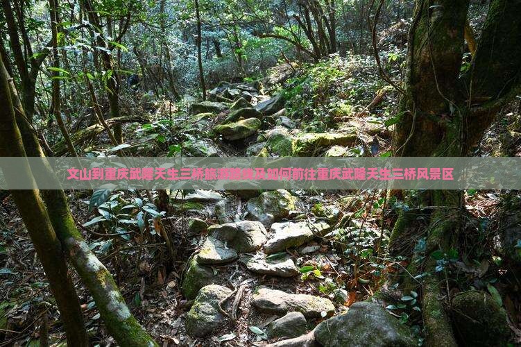 文山到重庆武隆天生三桥旅游