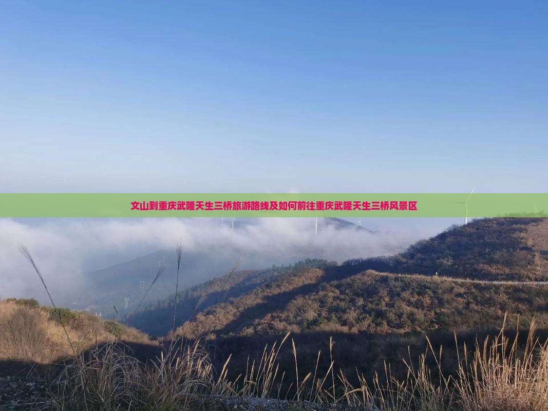 文山到重庆武隆天生三桥旅游