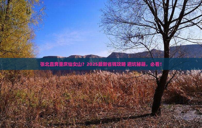 张北到重庆仙女山哪里玩