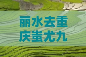 丽水去重庆蚩尤九黎城旅游小吃