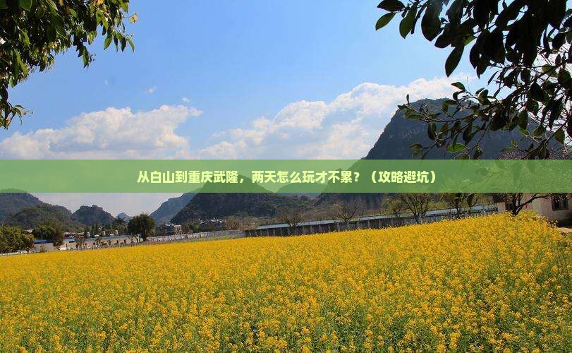 白山到重庆武隆二日游