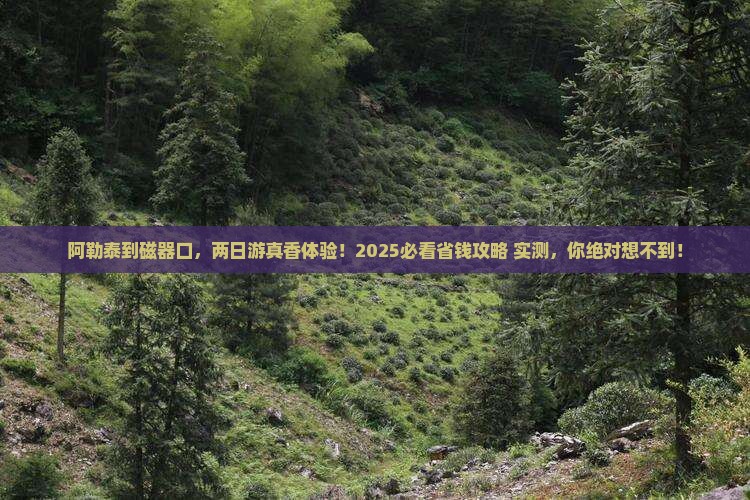 阿勒泰去重庆磁器口二日游