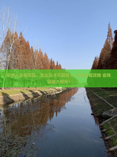 德州去重庆团体旅游