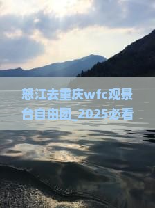 怒江去重庆wfc观景台自由团