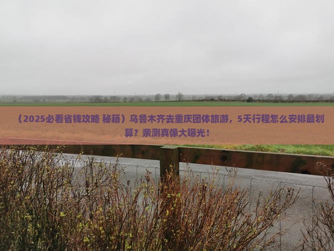 乌鲁木齐去重庆团体旅游