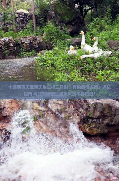 十堰到重庆武隆天生三桥二日游 十堰到重庆武隆天生三桥二日游