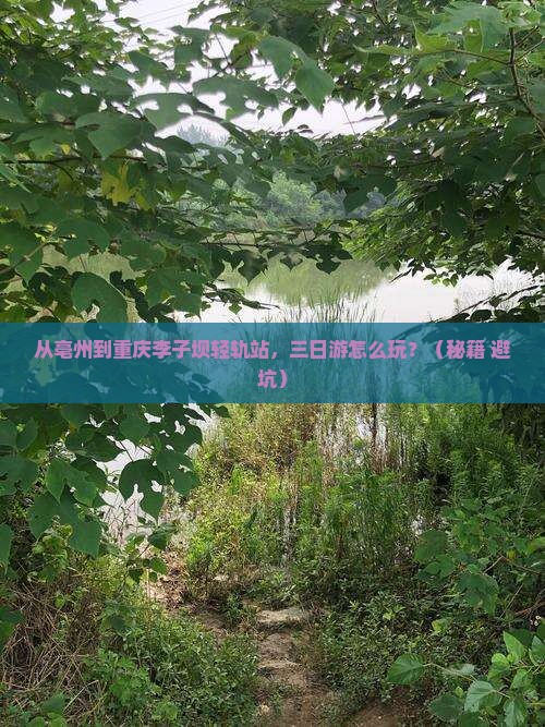 亳州到重庆李子坝轻轨站三日游