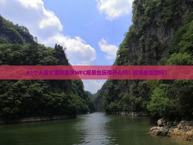 大理到重庆wfc观景台个人游