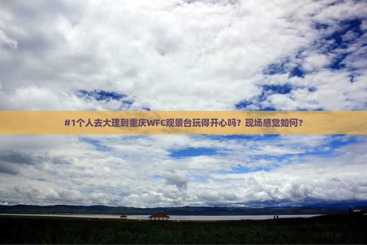 大理到重庆wfc观景台个人游