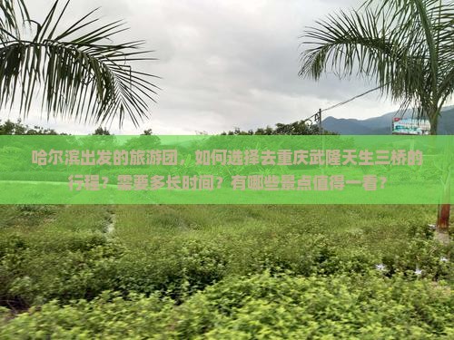 哈尔滨去重庆武隆天生三桥大型旅游团