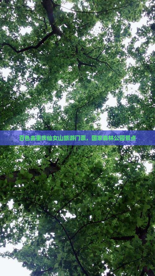 百色去重庆仙女山门票