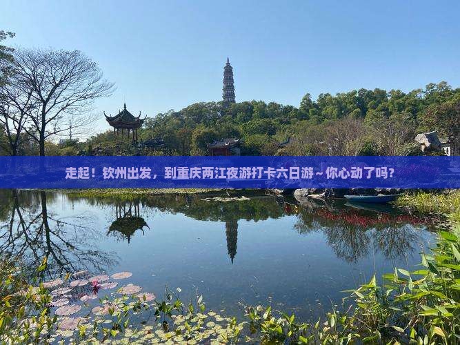 钦州去重庆两江夜游六日游
