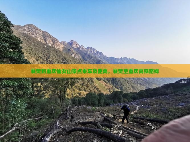 襄樊到重庆仙女山景点