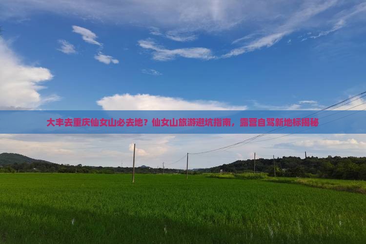 大丰去重庆仙女山必去地