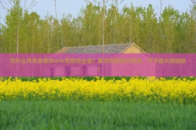 丹东去重庆wfc观景台必去地