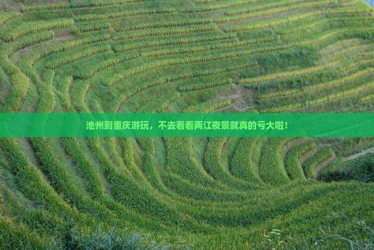 池州到重庆两江夜游必去地