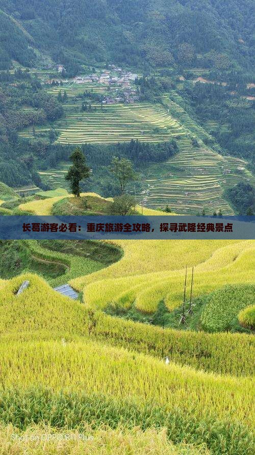 长葛去重庆武隆个人游