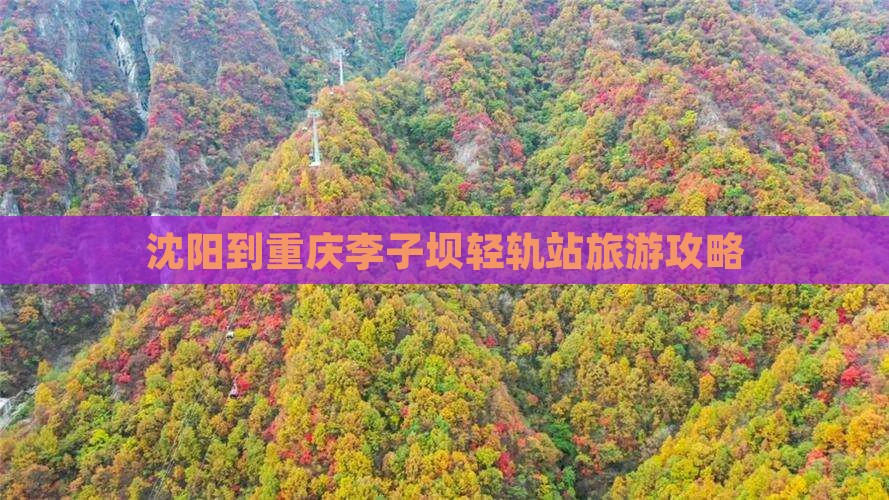 沈阳到重庆李子坝轻轨站攻略