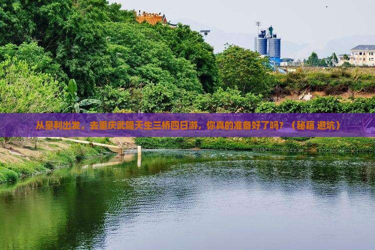 垦利去重庆武隆天生三桥四日游