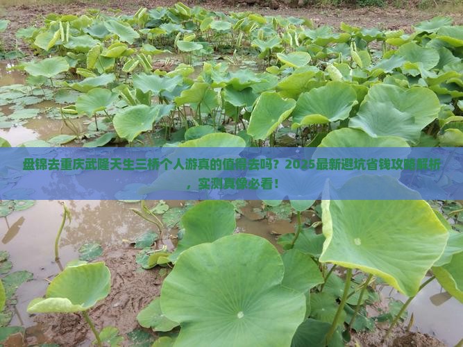 盘锦去重庆武隆天生三桥个人游