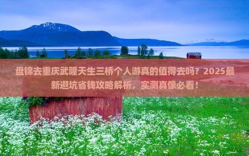 盘锦去重庆武隆天生三桥个人游