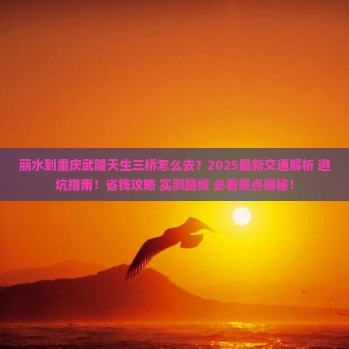 丽水到重庆武隆天生三桥景点