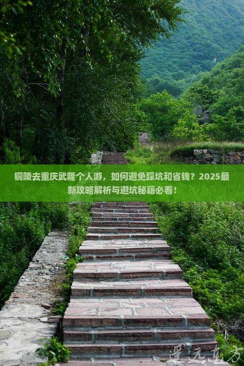 铜陵去重庆武隆个人游