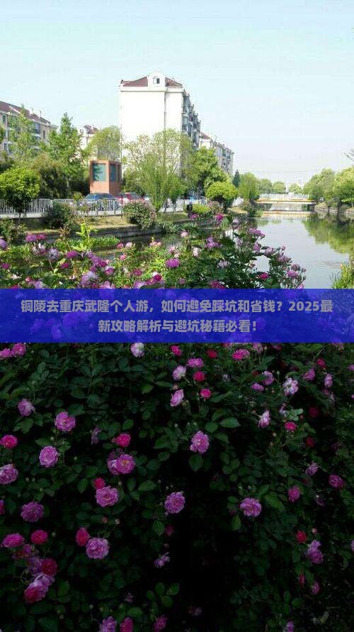 铜陵去重庆武隆个人游