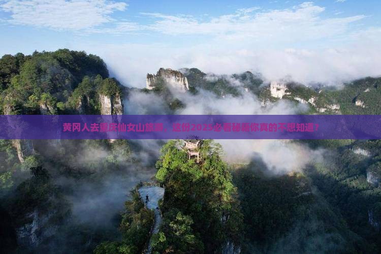 黄冈去重庆仙女山旅游
