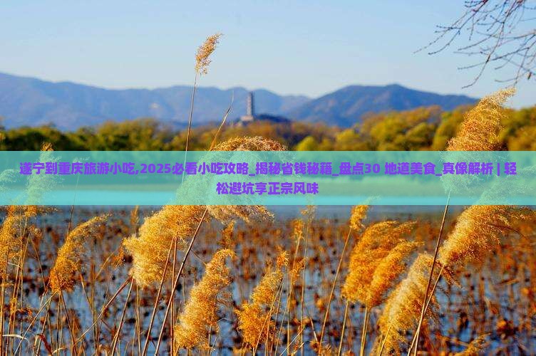 遂宁到重庆旅游小吃