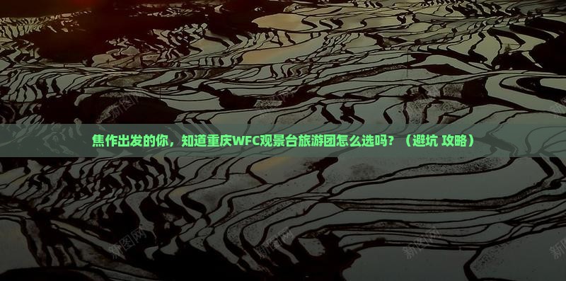 焦作到重庆wfc观景台大型旅游团