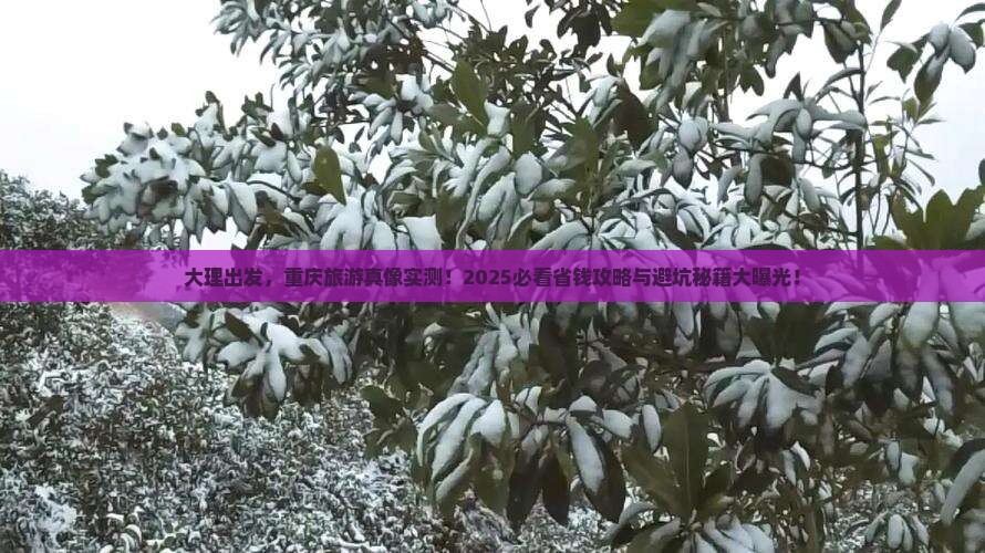 大理去重庆旅游