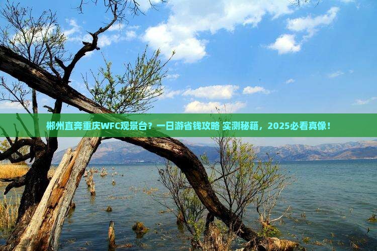 郴州去重庆wfc观景台一日