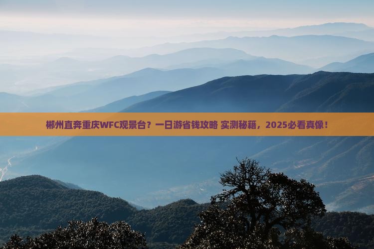 郴州去重庆wfc观景台一日