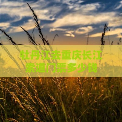 牡丹江去重庆长江索道门票