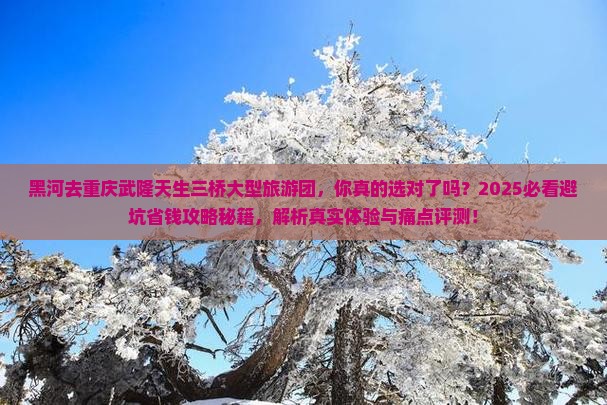 黑河去重庆武隆天生三桥大型旅游团