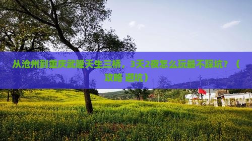 沧州去重庆武隆天生三桥自由行