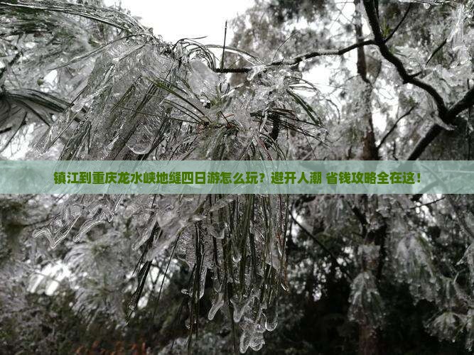 镇江到重庆龙水峡地缝四日游