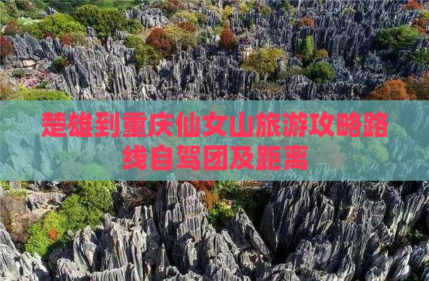 楚雄到重庆仙女山旅游