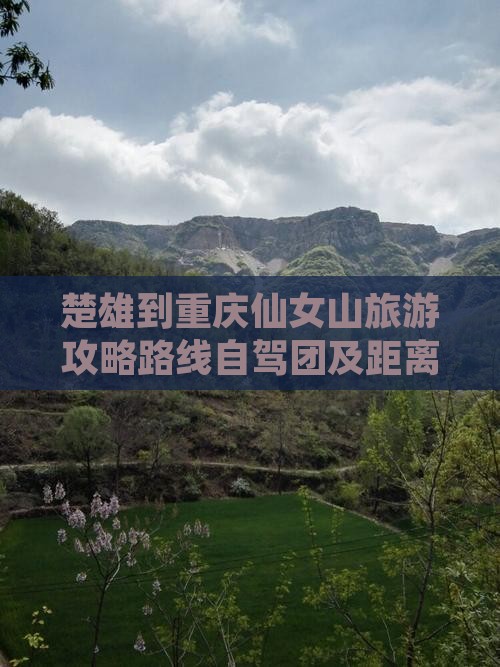 楚雄到重庆仙女山旅游