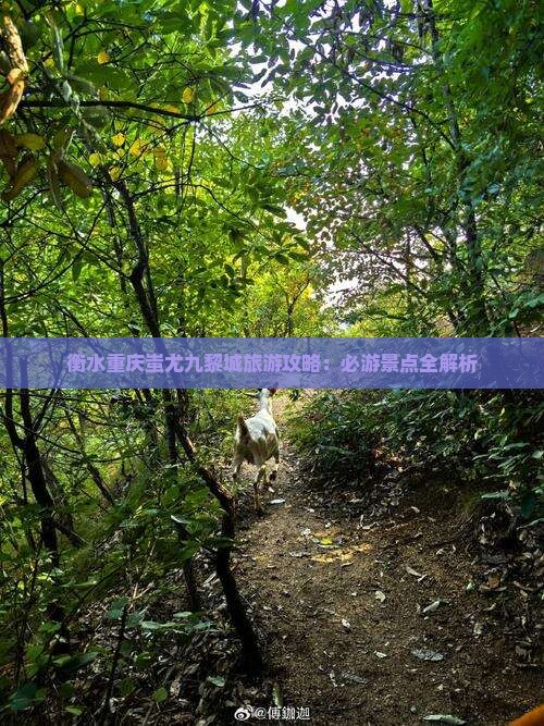 衡水去重庆蚩尤九黎城攻略