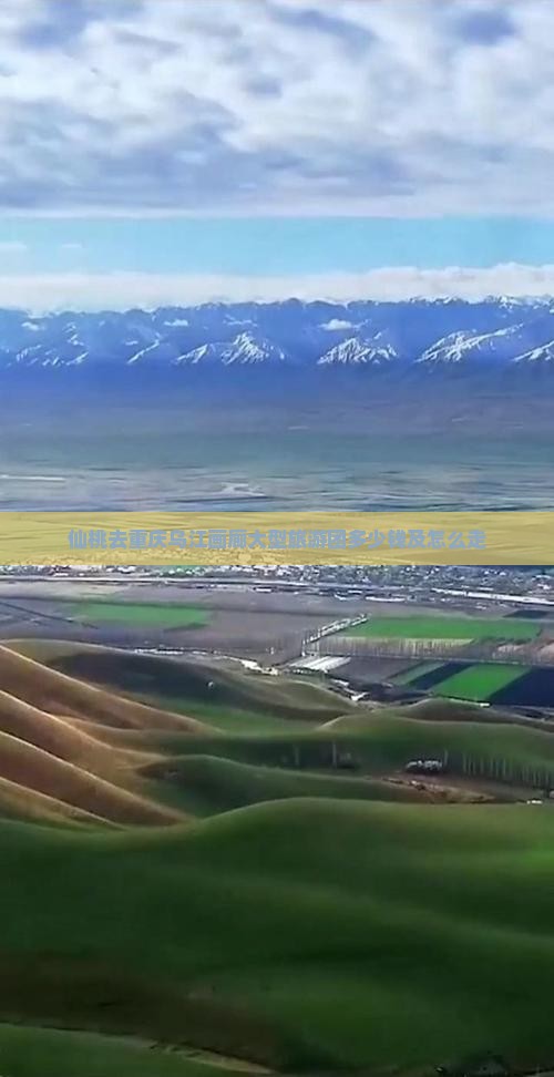 仙桃去重庆乌江画廊大型旅游团