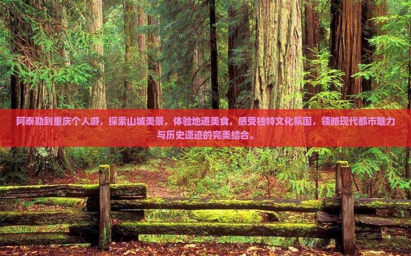阿泰勒到重庆个人游