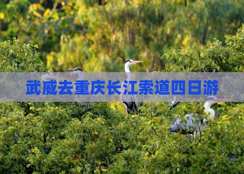 武威去重庆长江索道四日游