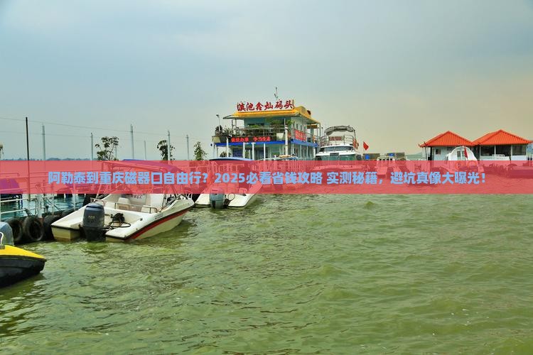 阿勒泰到重庆磁器口自由团