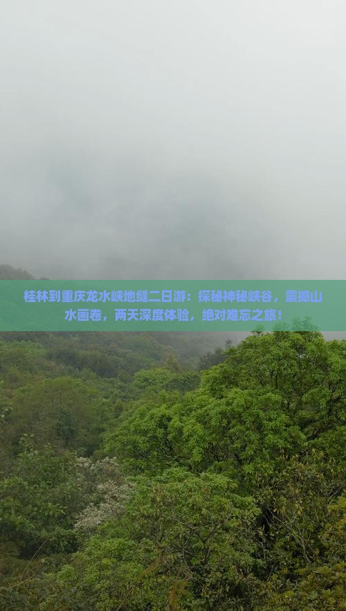 桂林到重庆龙水峡地缝二日游