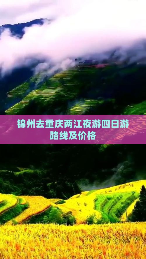 锦州去重庆两江夜游四日游 锦州去重庆两江夜游四日游