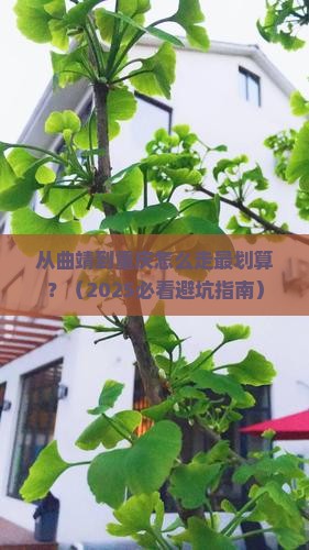 曲靖去重庆攻略