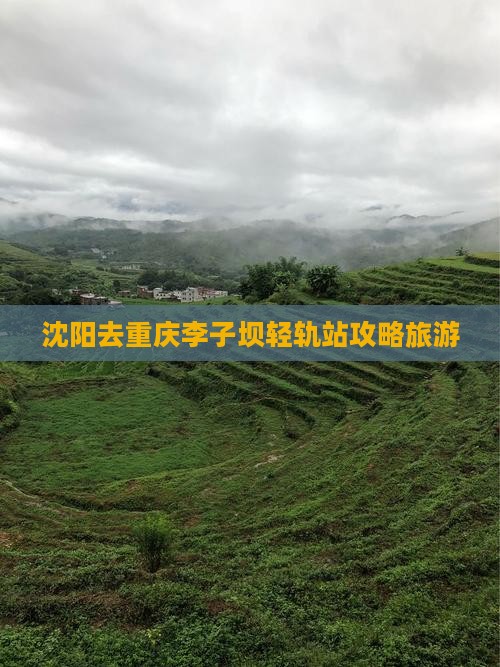 沈阳去重庆李子坝轻轨站个人游